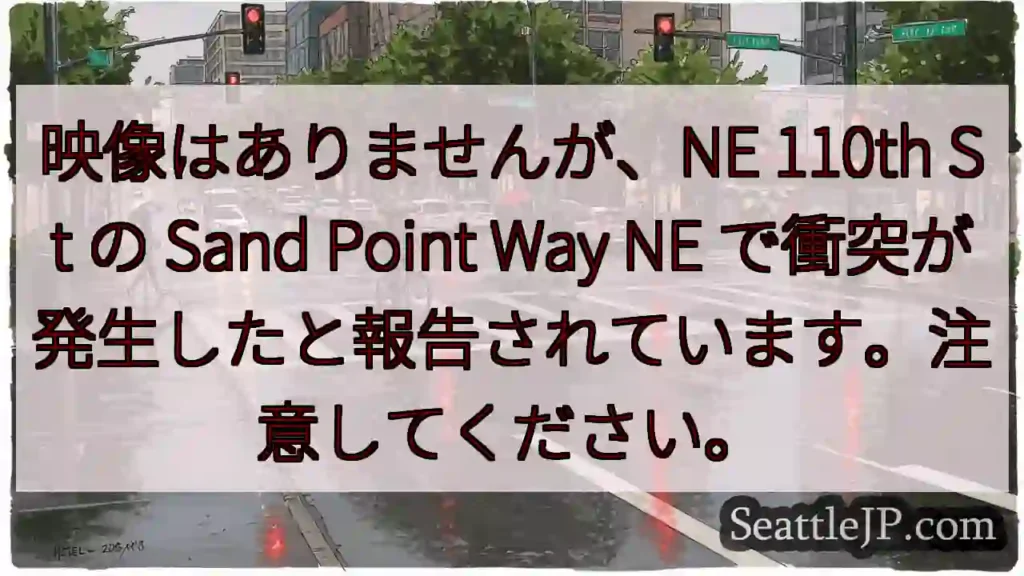 映像はありませんが、NE 110th St の Sand Point Way NE