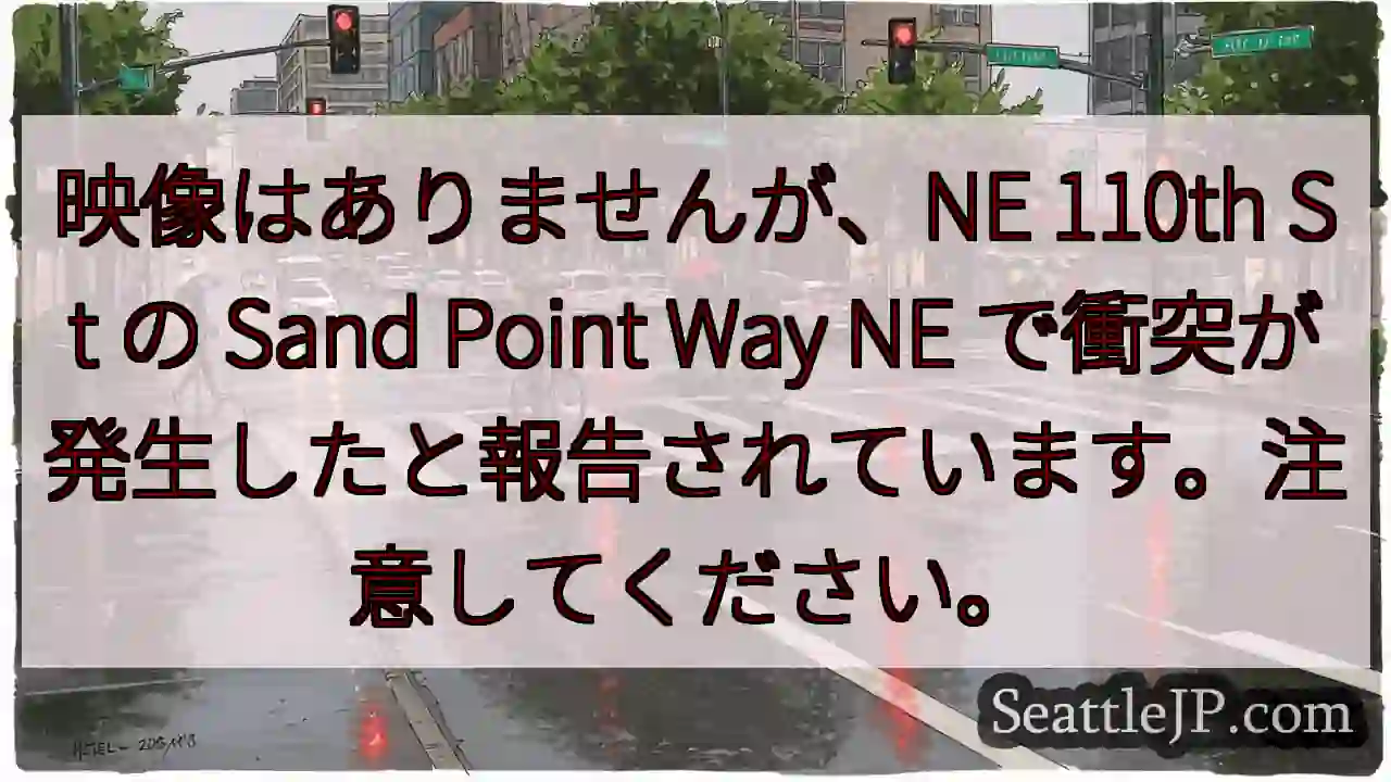 映像はありませんが、NE 110th St の Sand Point Way NE
