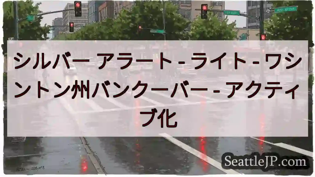 シルバー アラート - ライト - ワシントン州バンクーバー - アクティブ化
