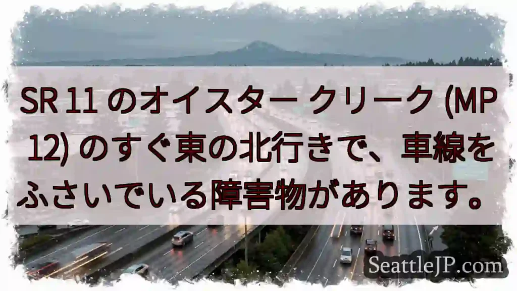 SR 11 のオイスター クリーク (MP 12)