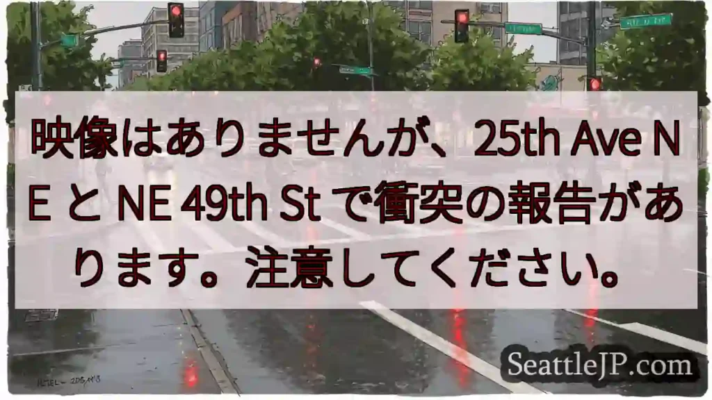 映像はありませんが、25th Ave NE と NE 49th St