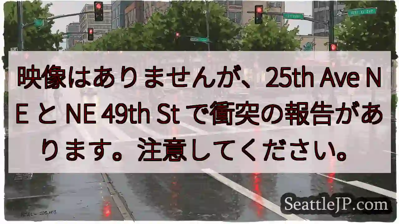 映像はありませんが、25th Ave NE と NE 49th St