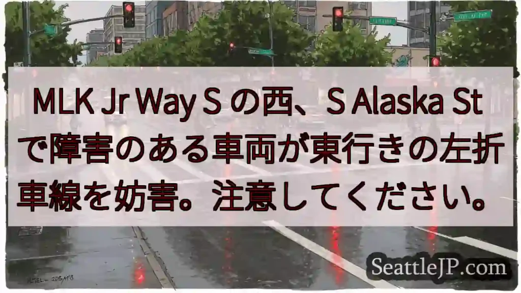 MLK Jr Way S の西、S Alaska St