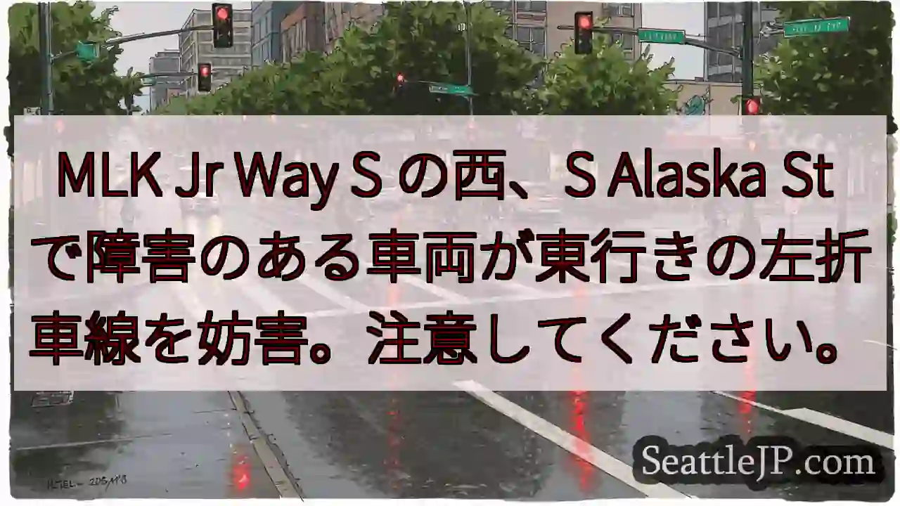 MLK Jr Way S の西、S Alaska St