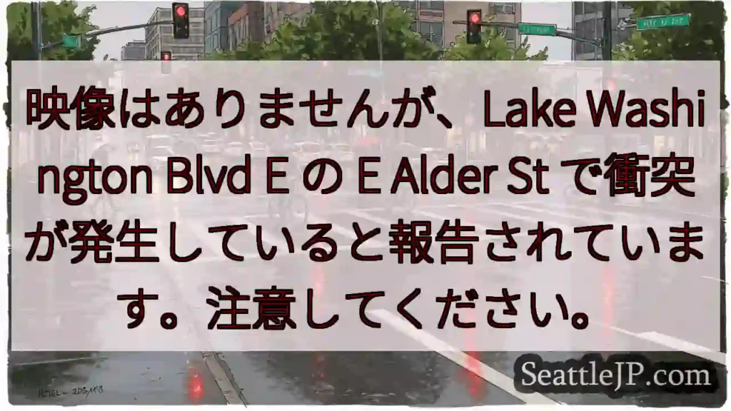 映像はありませんが、Lake Washington Blvd E の E Alder St