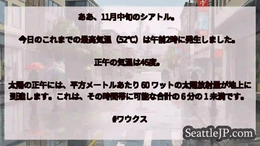 ああ、11月中旬のシアトル。
