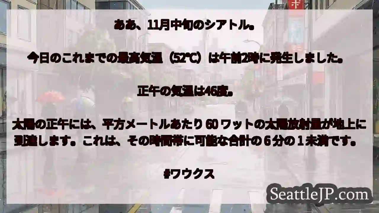 ああ、11月中旬のシアトル。