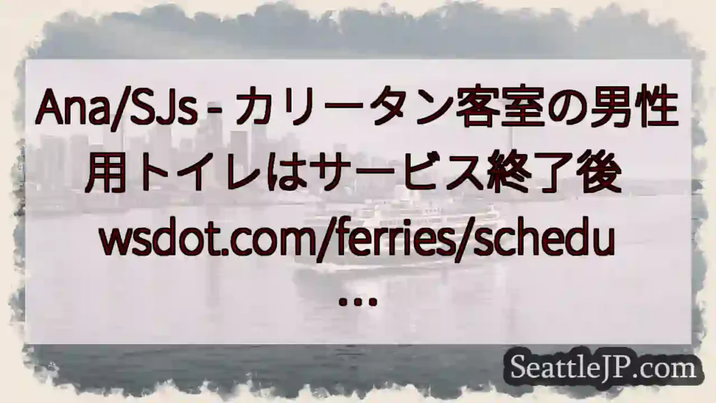 Ana/SJs - カリータン客室の男性用トイレはサービス終了後