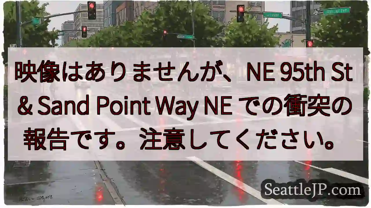 映像はありませんが、NE 95th St & Sand Point Way NE