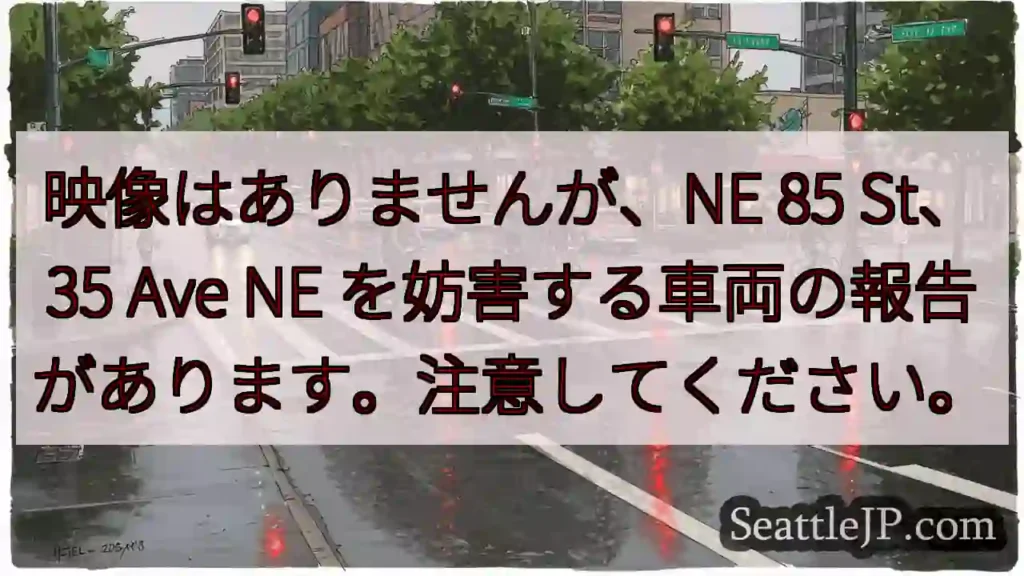 映像はありませんが、NE 85 St、35 Ave NE