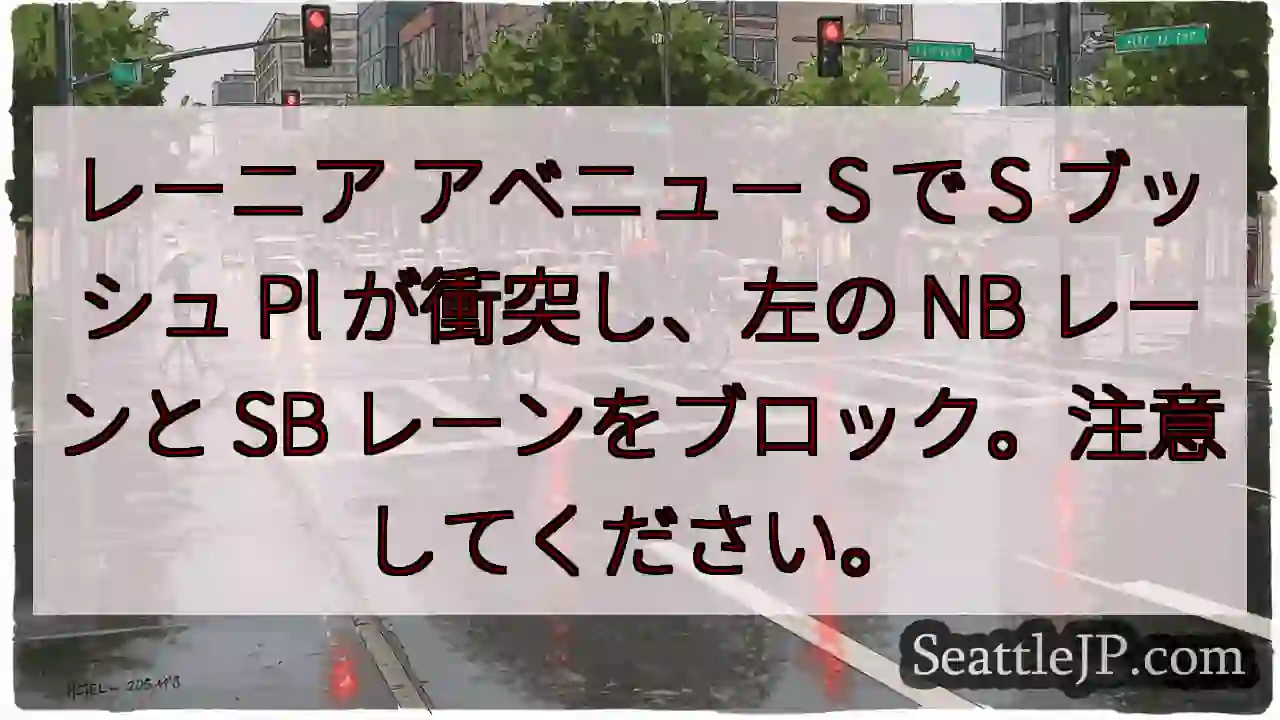 レーニア アベニュー S で S ブッシュ Pl が衝突し、左の NB レーンと SB