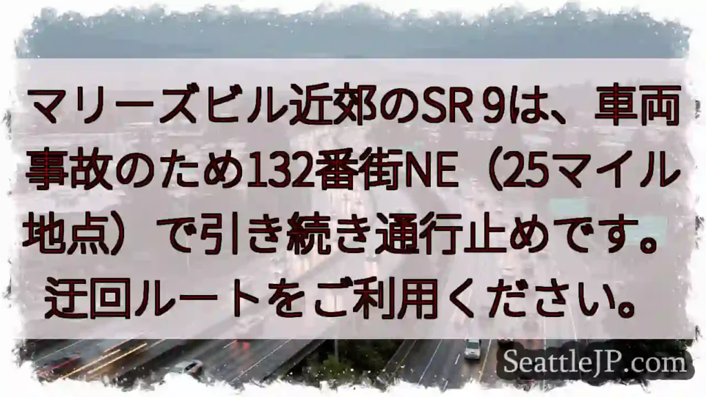 SR9通行止め！132番街NEで事故