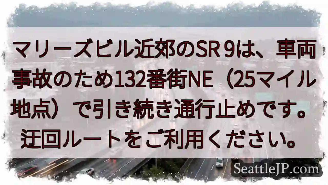SR9通行止め！132番街NEで事故