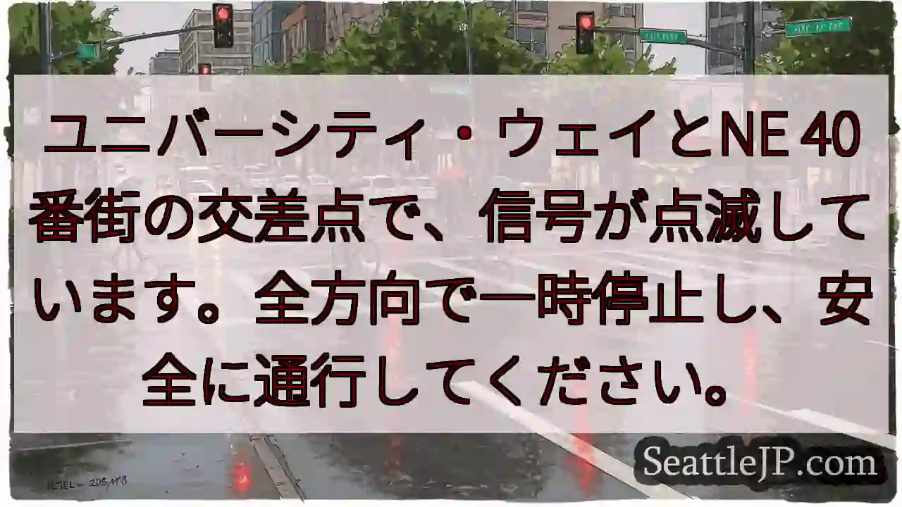 信号点滅！全方向、一時停止！安全確認！