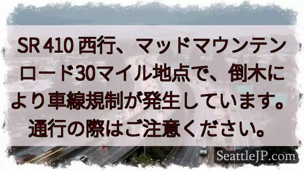 SR410 倒木規制！注意！
