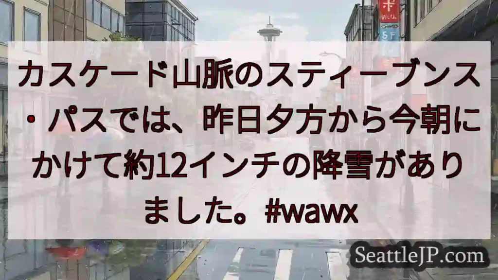 シアトル天気 1 スティーブンス・パス:12インチ積雪!