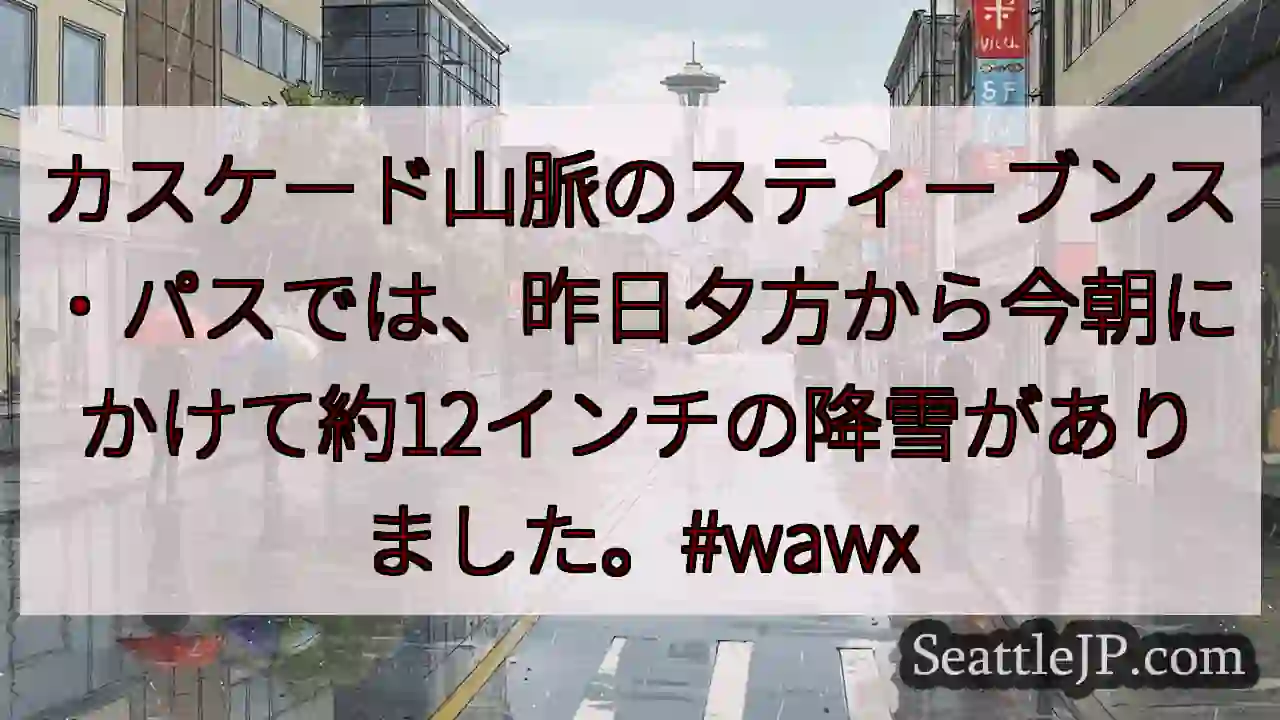 スティーブンス・パス：12インチ積雪！