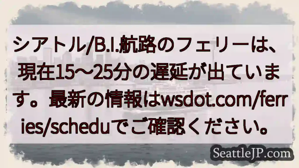 フェリー遅延：15～25分
