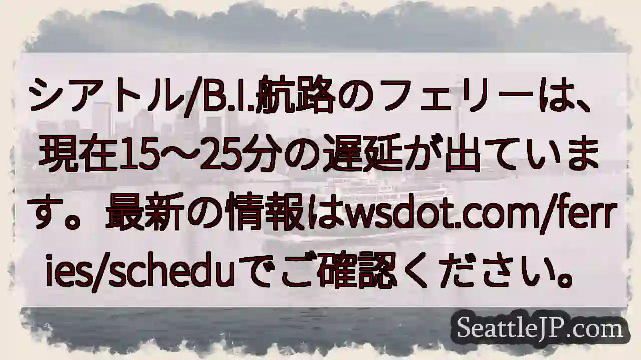 フェリー遅延：15～25分