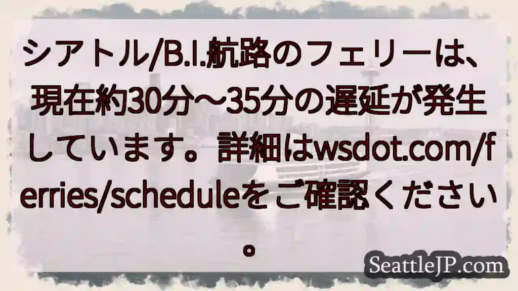フェリー遅延：30～35分