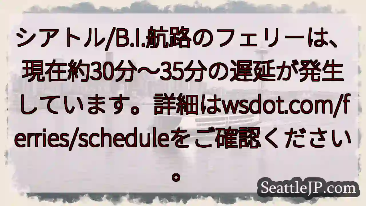 フェリー遅延：30～35分