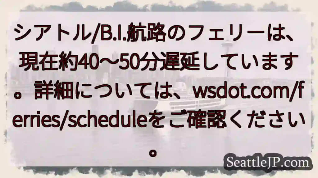 フェリー遅延中！約40～50分