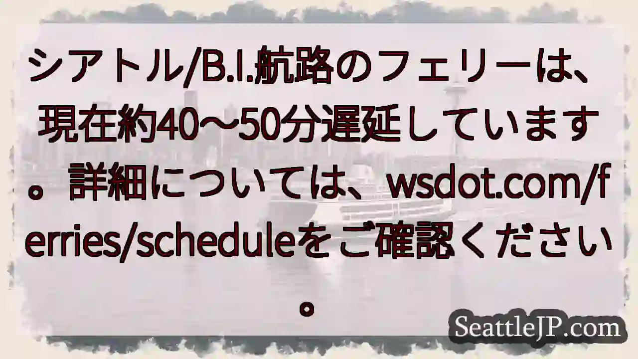 フェリー遅延中！約40～50分