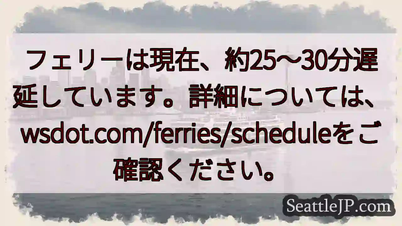 フェリー遅延：約25～30分