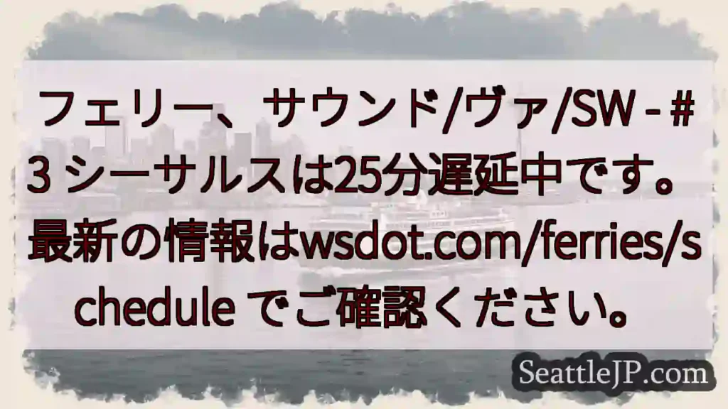 フェリー遅延:25分