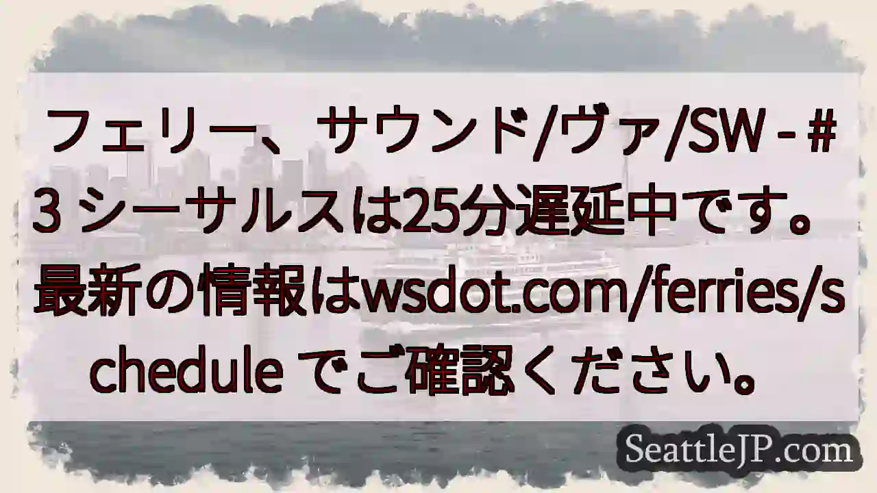 フェリー遅延：25分