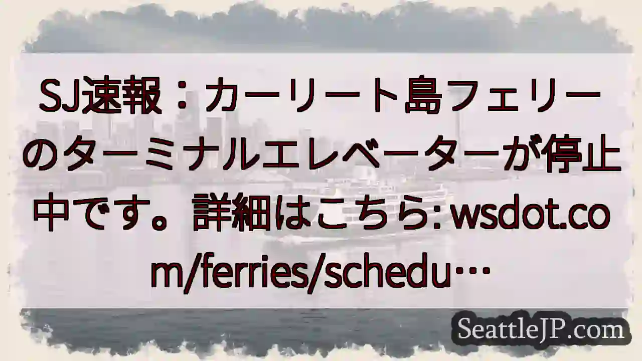 カーリート島フェリー：エレベーター停止中