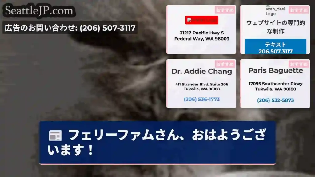 フェリーファムさん、おはようございます！