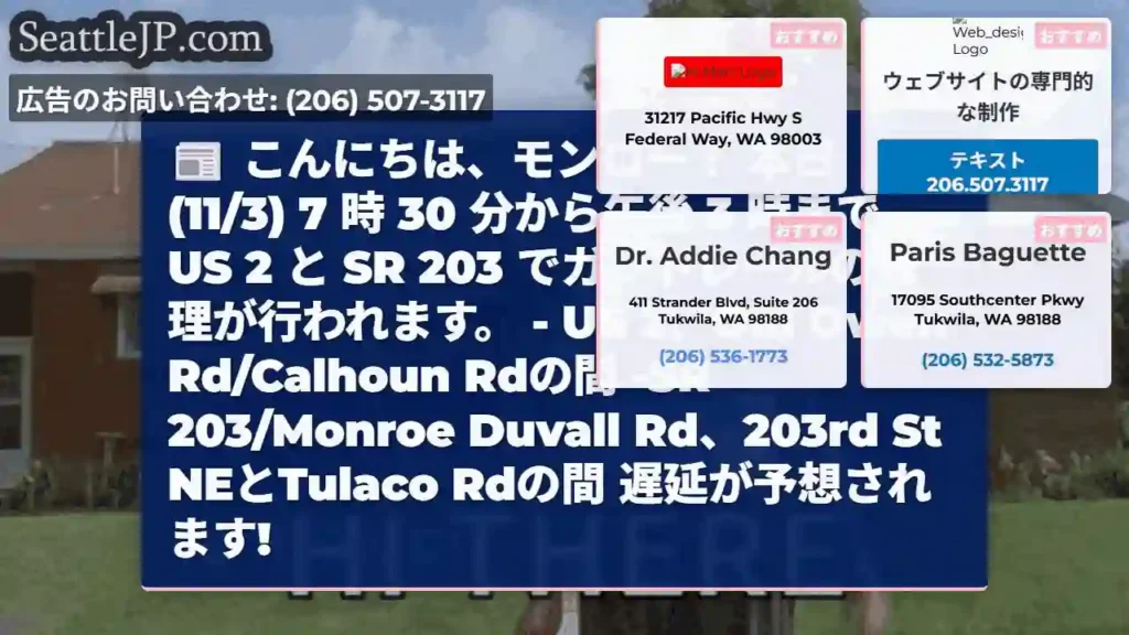 こんにちは、モンロー！