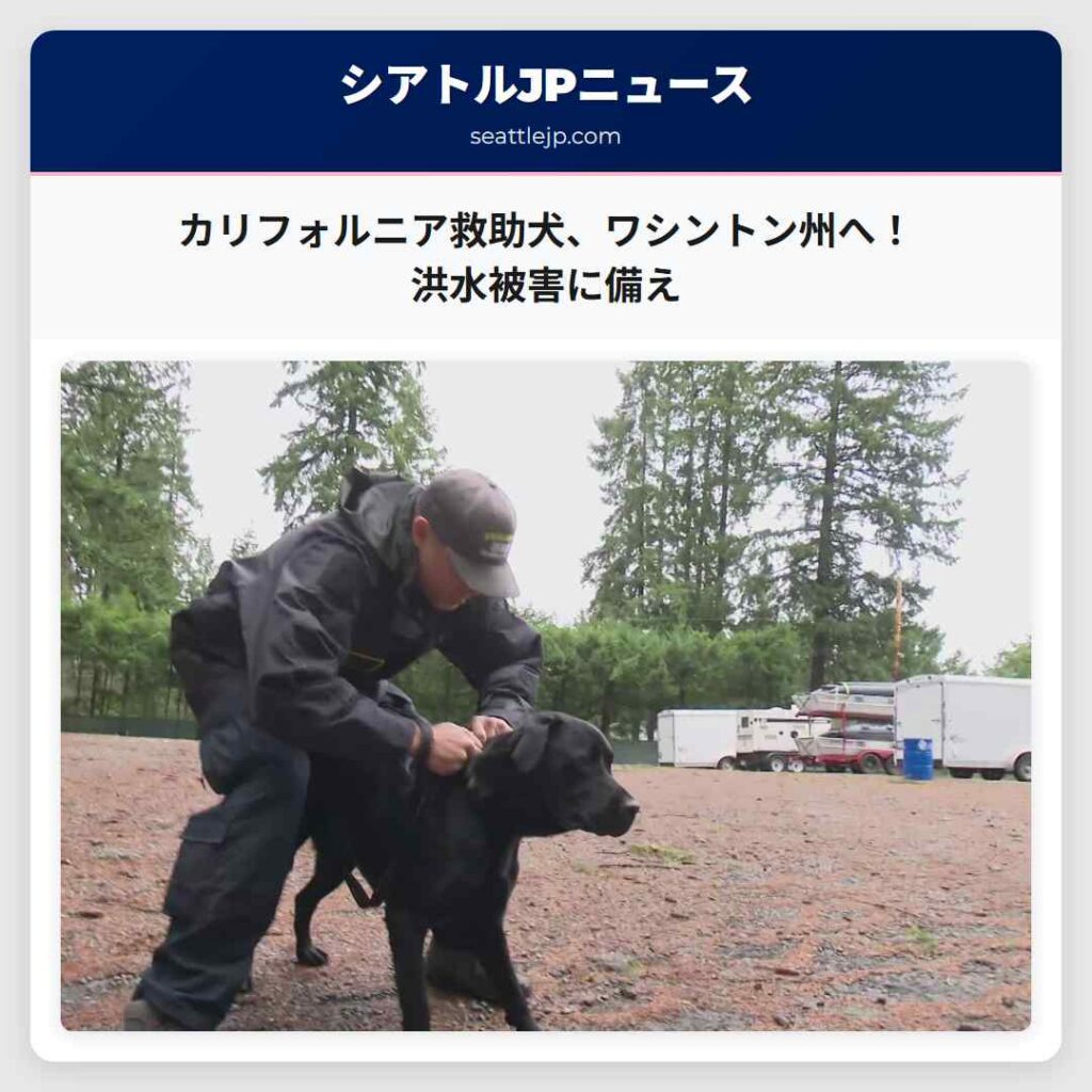 カリフォルニア救助犬、ワシントン州へ！洪水被害に備え