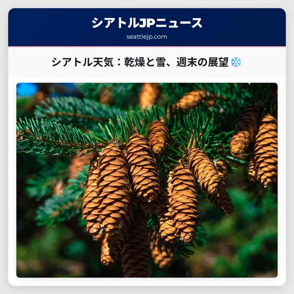 シアトル天気：乾燥と雪、週末の展望❄️