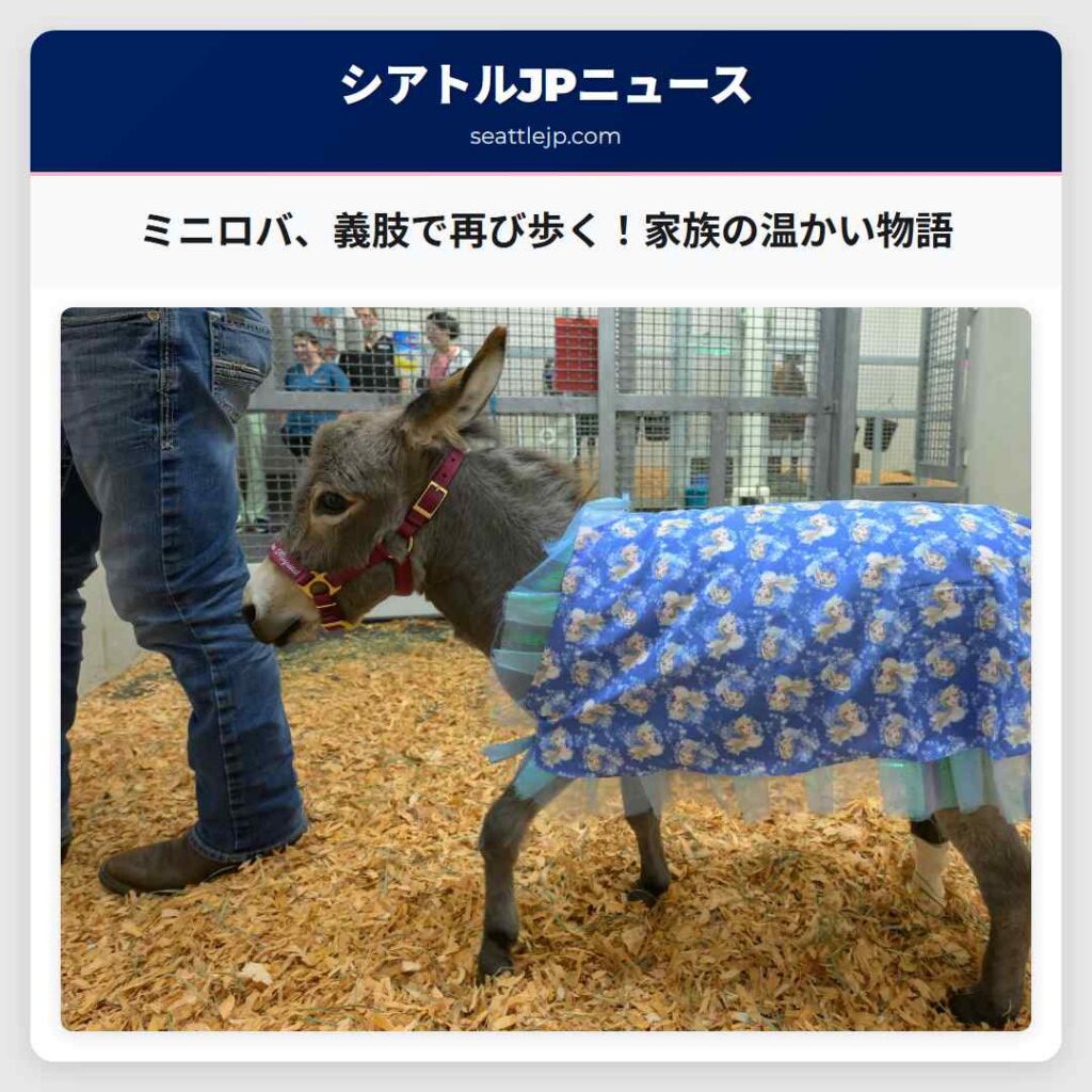 ミニロバ、義肢で再び歩く！家族の温かい物語