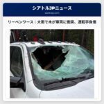 リーベンワース近郊で木が車両に衝突、運転手負傷 – 大雨による河川氾濫が原因か