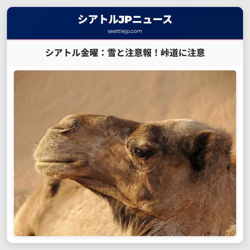シアトル金曜：雪と注意報！峠道に注意