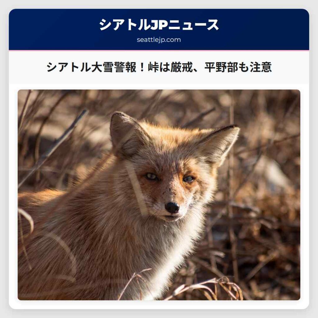 シアトル大雪警報！峠は厳戒、平野部も注意