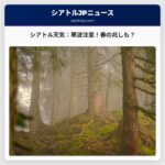シアトル天気：乾燥が続く、厳しい寒さの一週間の始まり