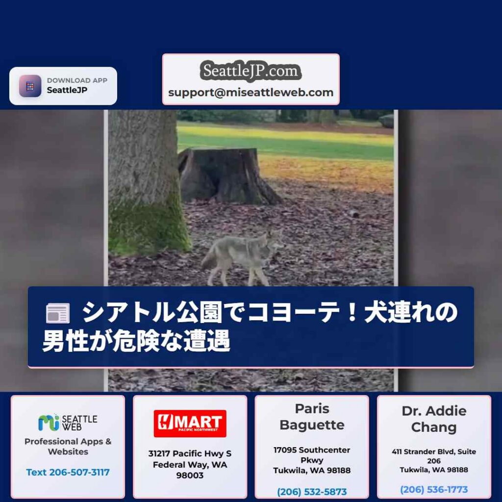 シアトル公園でコヨーテ！犬連れの男性が危険な遭遇