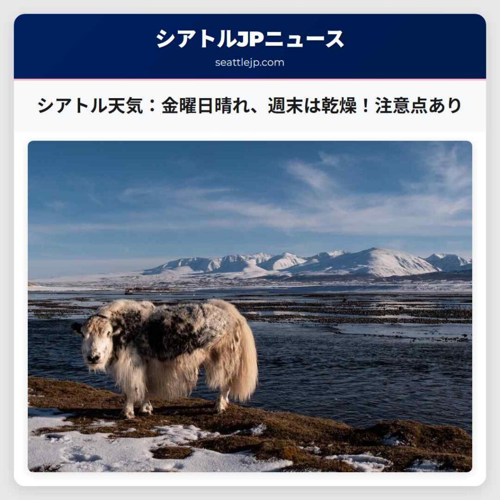 シアトル天気:金曜日晴れ、週末は乾燥!注意点あり