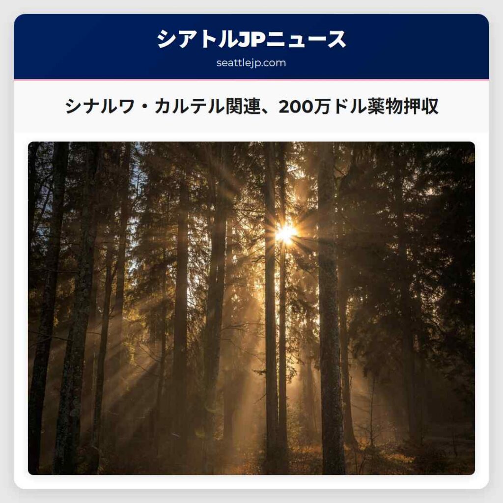 シナルワ・カルテル関連、200万ドル薬物押収