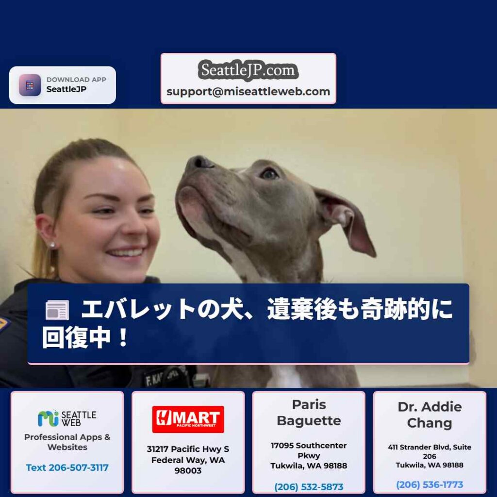 エバレットの犬、遺棄後も奇跡的に回復中！
