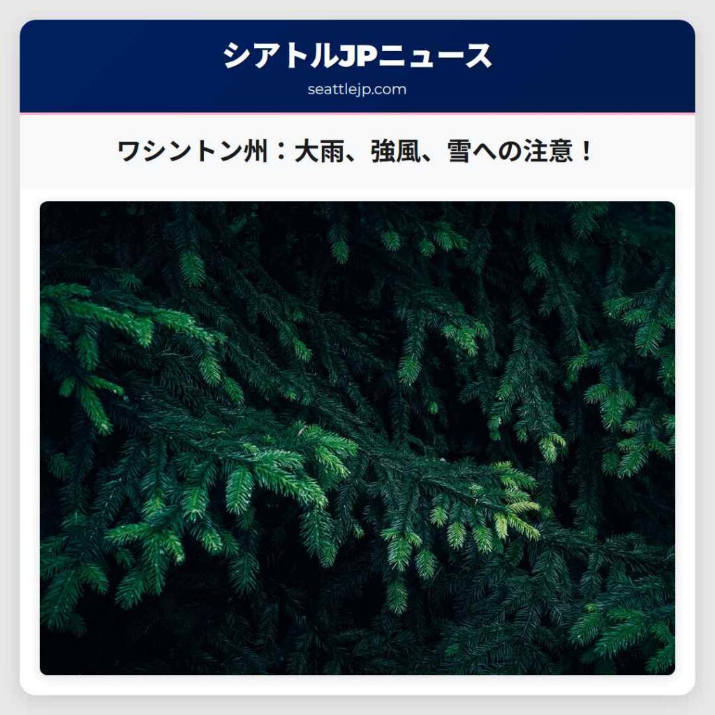 ワシントン州:大雨、強風、雪への注意!
