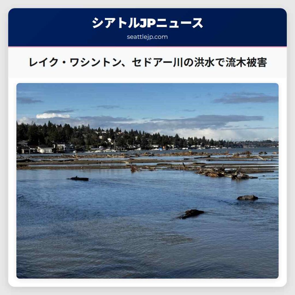 レイク・ワシントン、セドアー川の洪水で流木被害