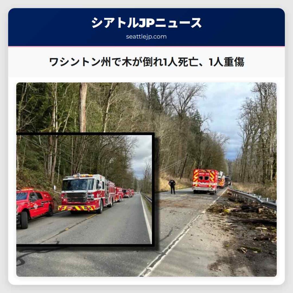 Home 1 ワシントン州で木が倒れ1人死亡、1人重傷