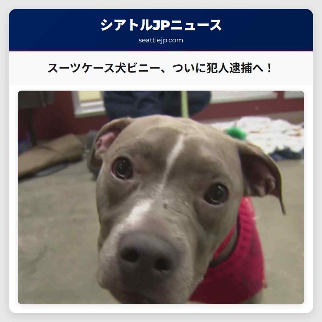 スーツケース犬ビニー、ついに犯人逮捕へ!