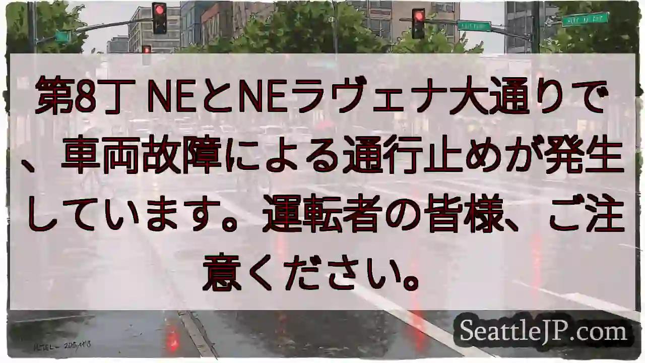 通行止め！NE大通り車両故障