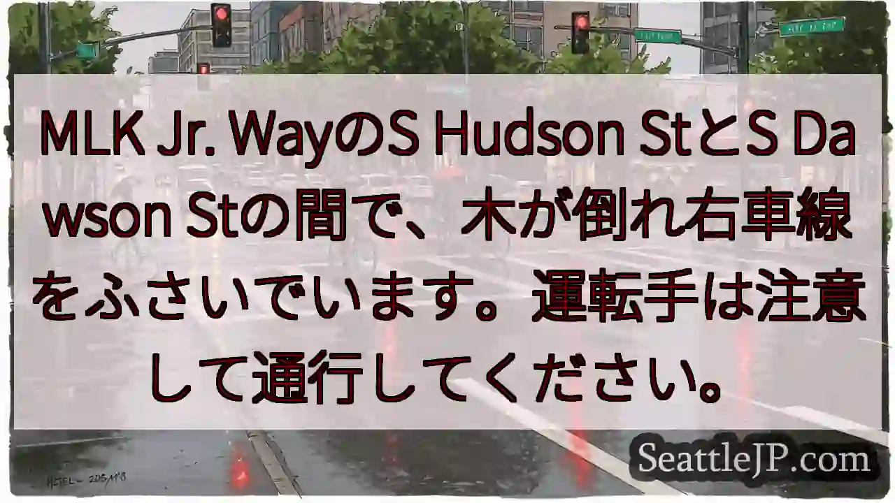 倒木規制！右車線通行注意